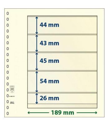 LINDNER Hojas clasificadoras T-Blanko 802511